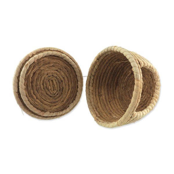 Kokon Epic PET – Plaček Pet Products-image-1