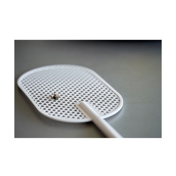 Siv muholovec Zone Singles-image-2