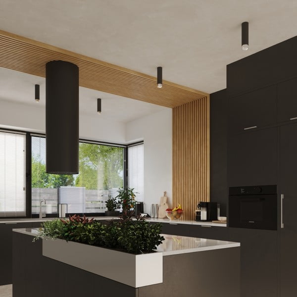 Črna/srebrna stropna svetilka Crown – Sollux-image-4