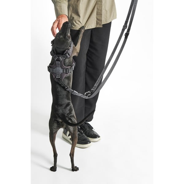 Zelen preklopni povodec dolžina 200 cm Modena Grolive 25 mm – MiaCara-image-3