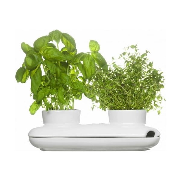 Lonec za zelišča Sagaform Duo Herb