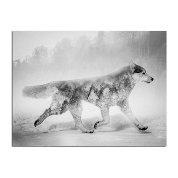 Slika Styler Canvas Styler Nordic Wolf, 75 x 100 cm