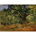 Reprodukcija slike Claude Monet - The Bodmer Oak, Fontainebleau Forest, 70 x 50 cm