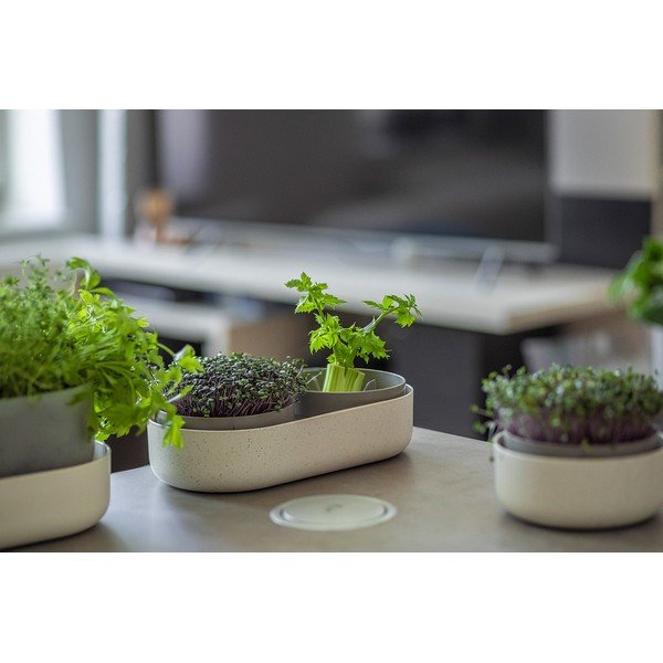 Plastična posoda za kaljenje Microgreens + Regrow – Plastia-image-2