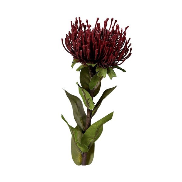 Umetna rastlina (višina 74 cm) Protea – Ego Dekor