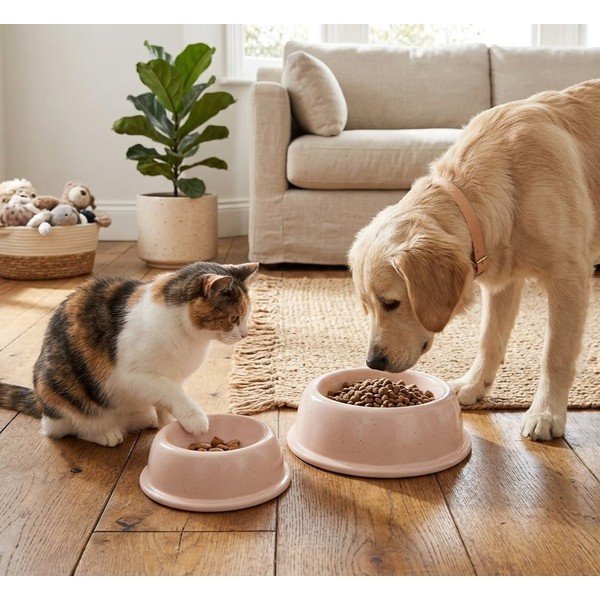 Lončena posoda za hrano za hišne ljubljenčke ø 21 cm – Casafina-image-1