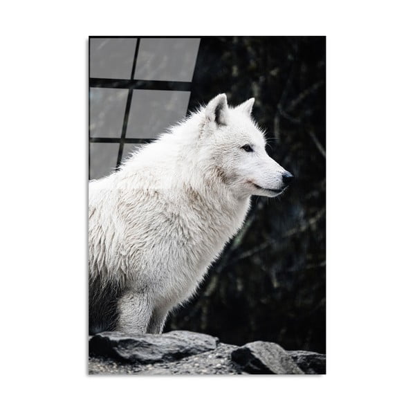 Steklena slika 70x100 cm White Wolf – Wallity