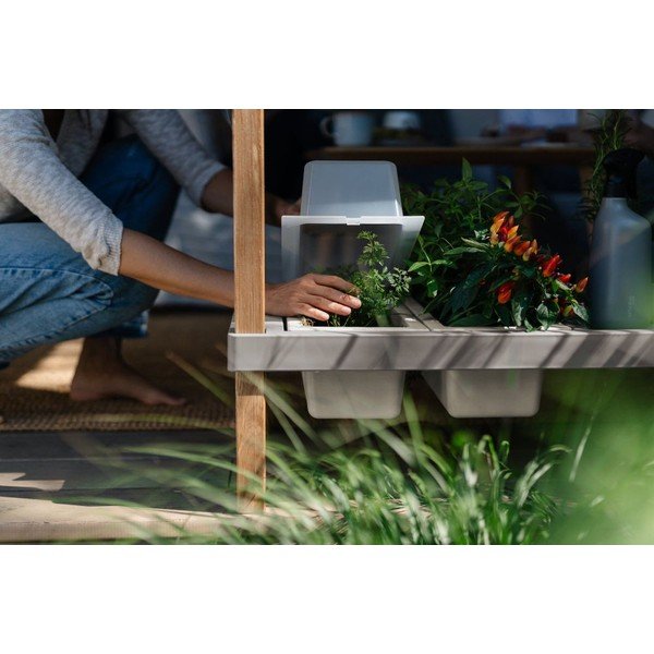 Visoka greda – Plastia-image-2