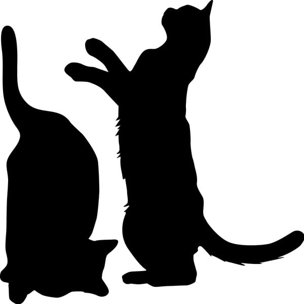 Komplet 2 nalepk Ambiance Cute Cats-image-1