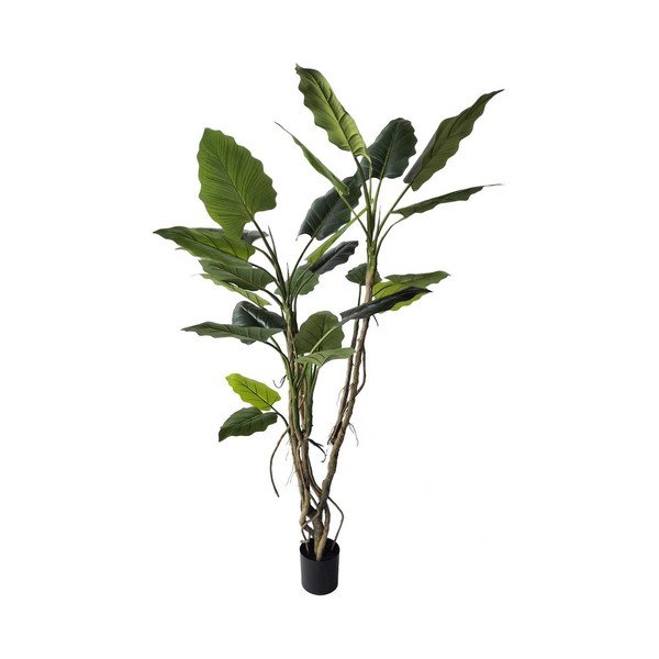 Umetna rastlina (višina 190 cm) Alocasia – Bizzotto