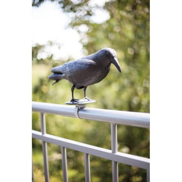 Plastično ptičje strašilo Crow – Esschert Design-image-2