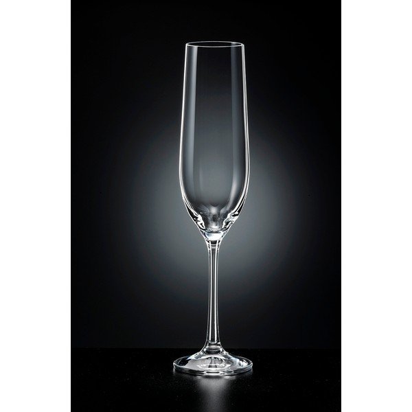 Komplet 6 kozarcev za penino Crystalex Viola, 190 ml-image-1