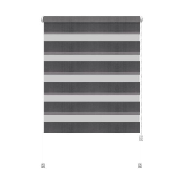 Temno siv zatemnitveni rolo 68x215 cm Zebra – Gardinia