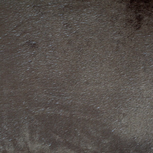 Svetlo rjava postelja za pse ø 50 cm – Love Story-image-4