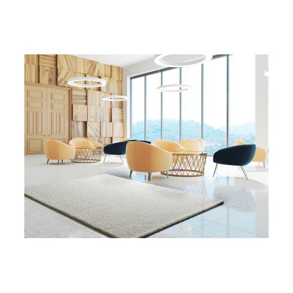 Bela preproga Universal Princess, 290 x 200 cm-image-2