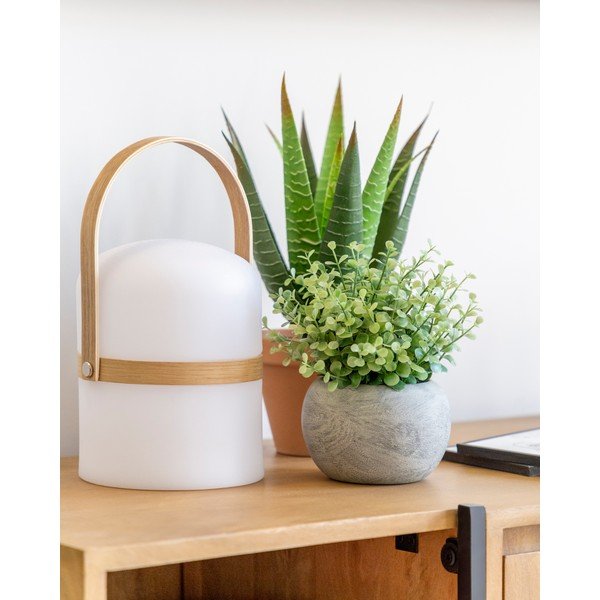 Umeten evkaliptus v lončku Kave Home-image-2