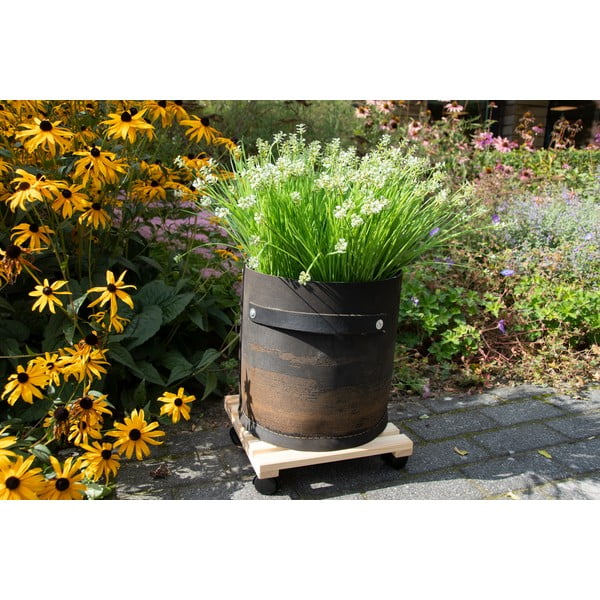 Lesen mobilni podstavek za cvetlične lonce (višina 8 cm) Indoor & Outdoor – Esschert Design-image-1