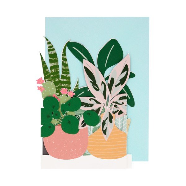 Voščilnica Potted Plant – Meri Meri-image-1