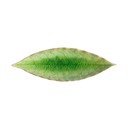 Pladenj iz kamenine 6x18 cm Riviera – Costa Nova