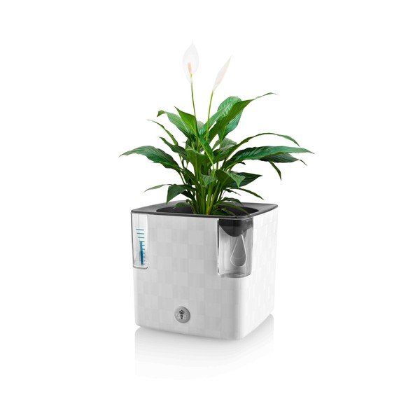 Plastičen samozalivalni cvetlični lonec za zelišča Cobble – Flower Lover-image-2