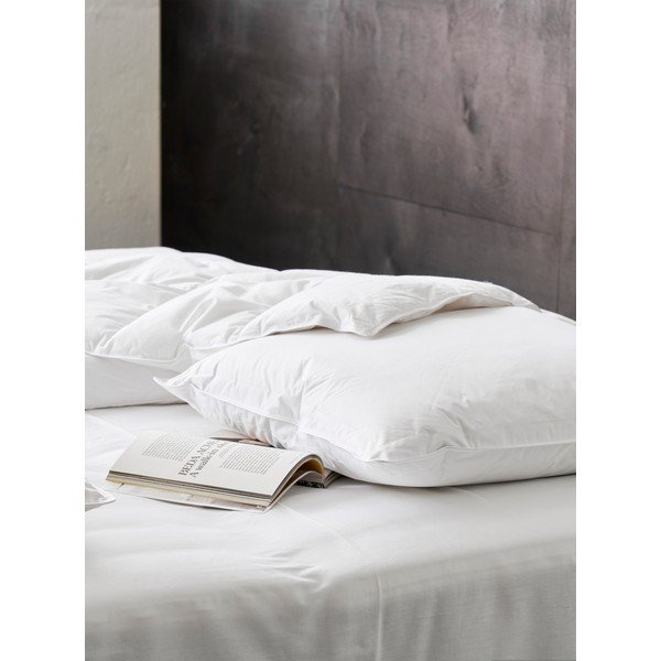 Polnilo za blazino s polnilom iz perja 50x70 cm Jack the Dullard – Ringsted Dun-image-2