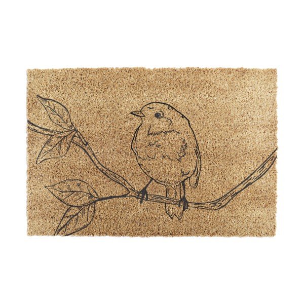 Predpražnik iz kokosovih vlaken 40x60 cm Pencil Robin – Artsy Doormats