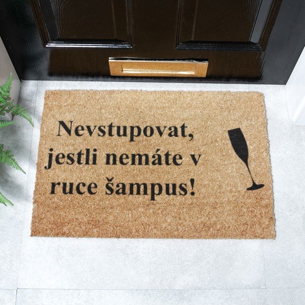 Predpražnik iz kokosovih vlaken 40x60 cm Šampus – Artsy Doormats-image-2