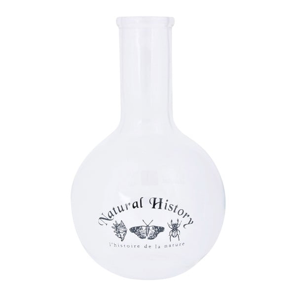 Steklena vaza (višina 23 cm) Natural History – Esschert Design