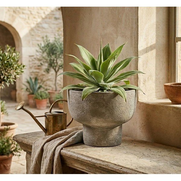 Cvetlični lonec iz terakote ø 30 cm Hector – Bizzotto-image-1