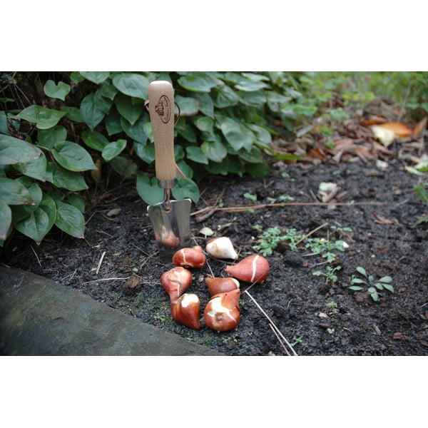 Lopata za presajanje iz jesenovega lesa Esschert Design Pond-image-4