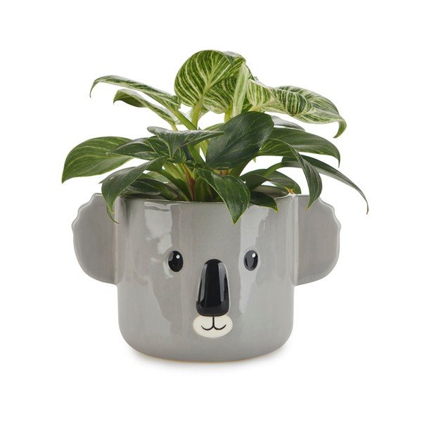 Keramičen cvetlični lonec ø 13,5 cm Koala – Balvi-image-1