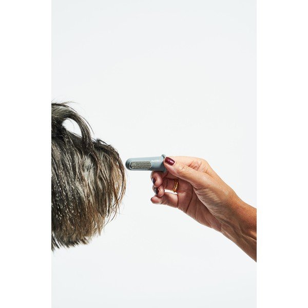 Zobne ščetke za hišne ljubljenčke v kompletu Dito – MiaCara-image-4