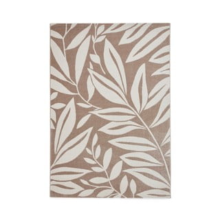 Svetlo rjava preproga 120x170 cm Sorral Leaves  – Catherine Lansfield