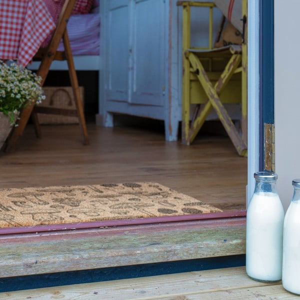 Predpražnik iz kokosovih vlaken 40x60 cm Mushrooms – Artsy Doormats-image-4