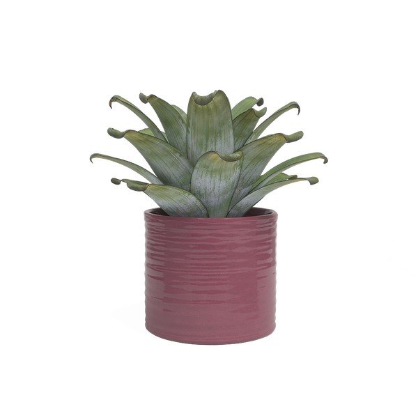 Keramičen ročno poslikan okrasni cvetlični lonec ø 25 cm Fortuna – Artevasi