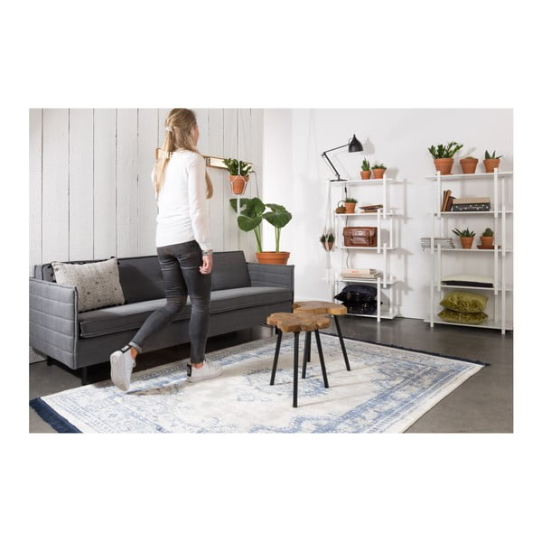 Vzorčasta preproga Zuiver Marvel Neptune, 200 x 300 cm-image-2