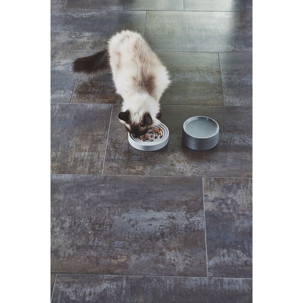 Porcelanasta posoda za hrano za mačke ø 14 cm Fresco Concrete S – MiaCara-image-4