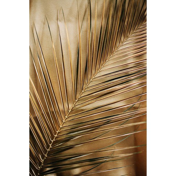 Tiskana steklena slika 80x120 cm Gold Palm  – Styler