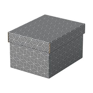 Komplet 3 sivih škatel za shranjevanje Esselte Home, 20 x 25,5 cm