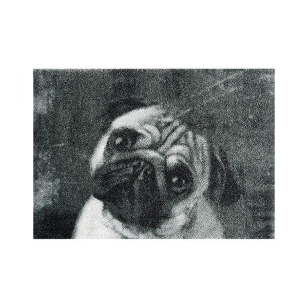 Grey Hanse Home StateMat Podloga za pse, 50 x 75 cm