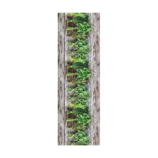 Rjavo-zelen tekač Floorita Aromatica, 58 x 115 cm
