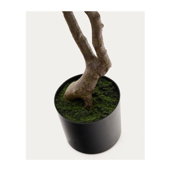 Umetna rastlina (višina 180 cm) Pachira – Kave Home-image-3