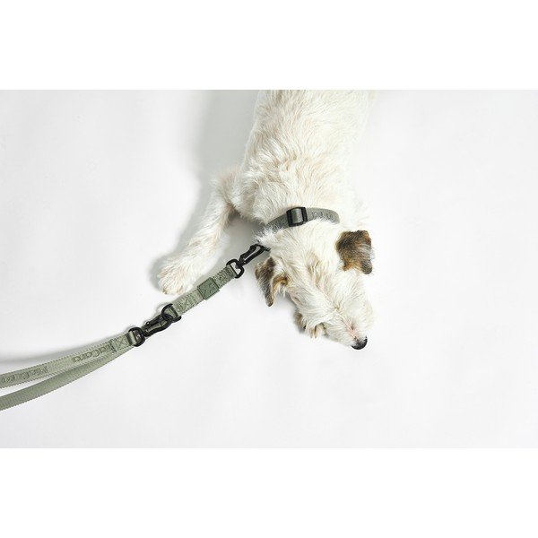 Temno siva ovratnica velikosti L/XL dolžina 40 cm Modena Asphalt L/XL – MiaCara-image-3