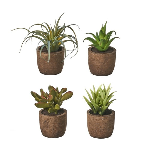 Umetne rastline v kompletu 4 ks (višina 10 cm) Cactus – Casa Selección