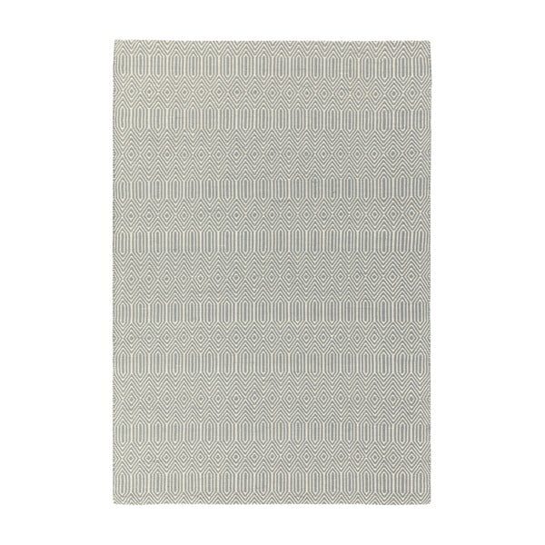 Svetlo siva volnena preproga 100x150 cm Sloan – Asiatic Carpets