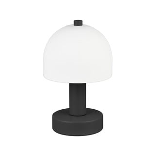 Črna/bela namizna svetilka s steklenim senčilom (višina 19 cm) Glenn – Trio