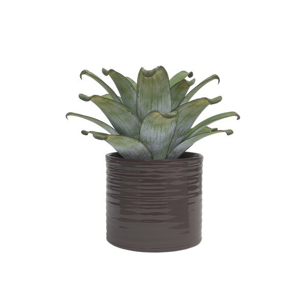 Keramičen ročno poslikan okrasni cvetlični lonec ø 25 cm Fortuna – Artevasi