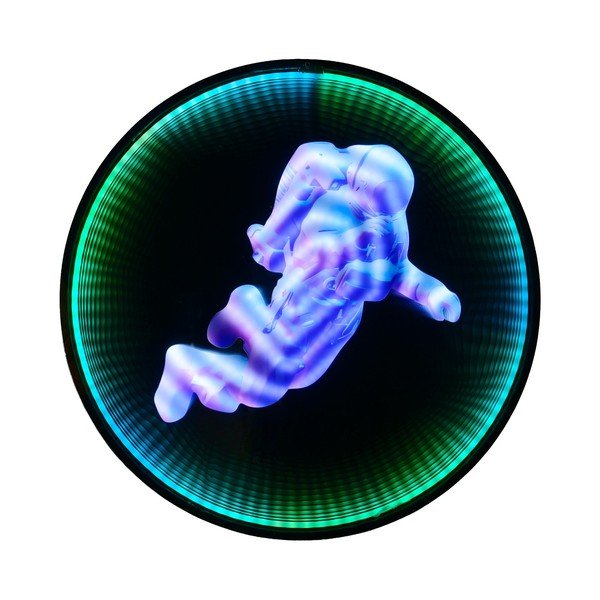 Črna stenska svetlobna dekoracija z vtikačem ø 60 cm Duke – Reality