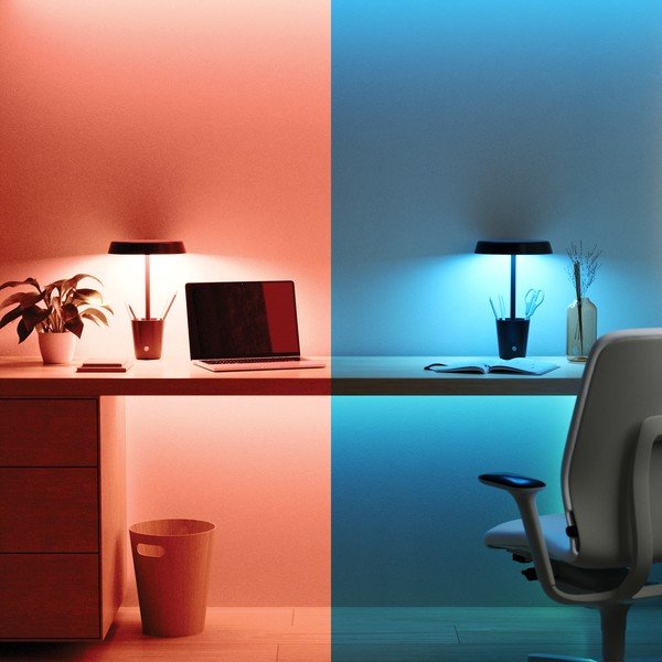 Mat črna LED namizna svetilka (višina 31 cm) Cup – Umbra-image-1