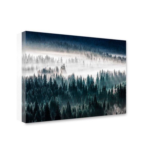 Slika Styler Glasspik Misty Forest, 80 x 120 cm-image-1